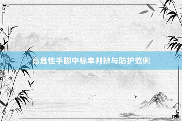 高危性手脚中标率判辨与防护范例
