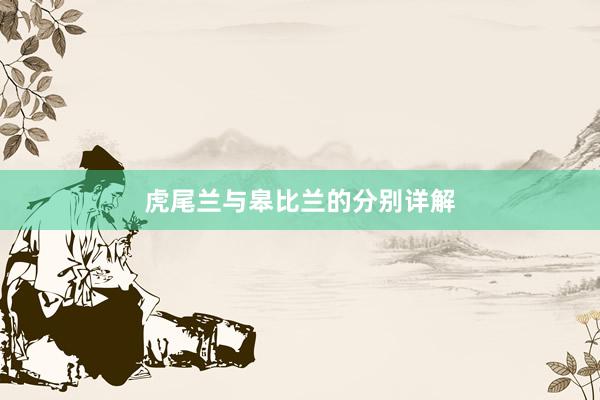 虎尾兰与皋比兰的分别详解