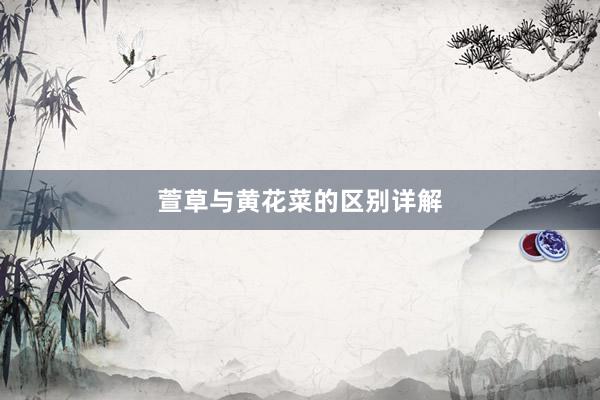 萱草与黄花菜的区别详解