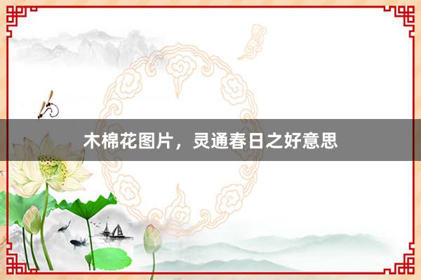 木棉花图片，灵通春日之好意思