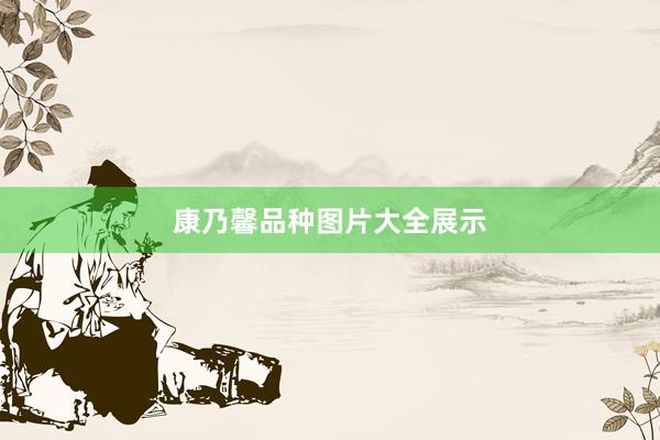 康乃馨品种图片大全展示