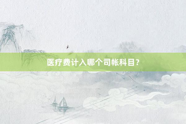 医疗费计入哪个司帐科目？