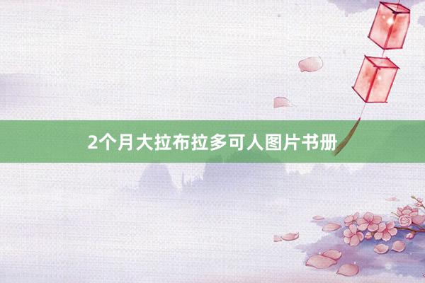 2个月大拉布拉多可人图片书册